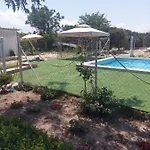 Next To Orange Tree Orchard *