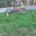 Next To Orange Tree Orchard * Vrahati