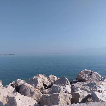 Next To Orange Tree Orchard Vrahati