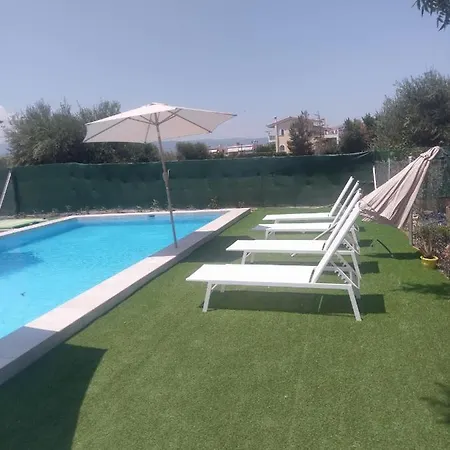 Next To Orange Tree Orchard *