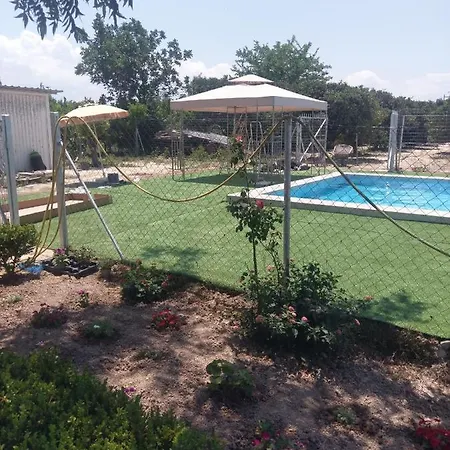 Next To Orange Tree Orchard *