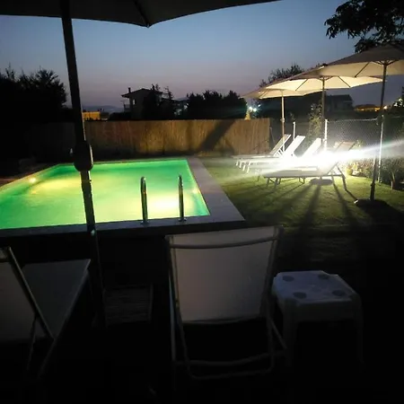 Next To Orange Tree Orchard