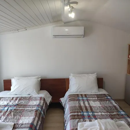 Next To Orange Tree Orchard *