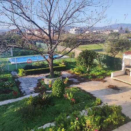 Next To Orange Tree Orchard * Vrahati