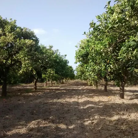 Ferienhaus Next To Orange Tree Orchard *