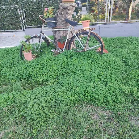 Next To Orange Tree Orchard * Vrahati