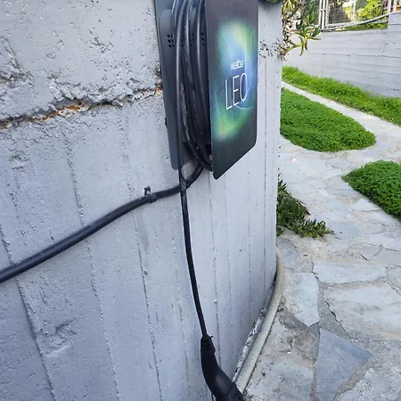 Next To Orange Tree Orchard