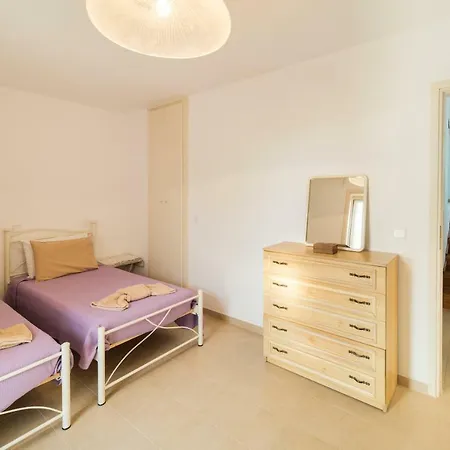 Next To Orange Tree Orchard *