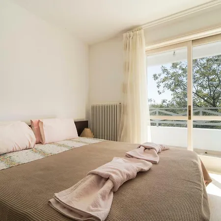 Next To Orange Tree Orchard *