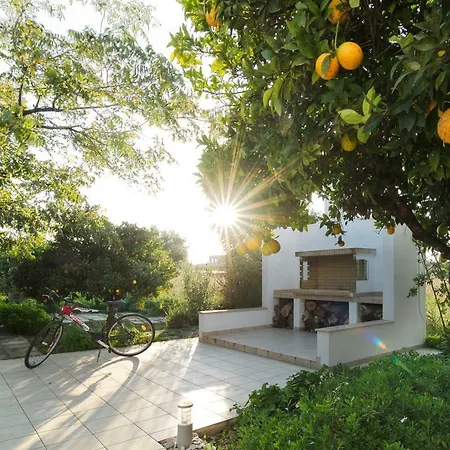 Ferienhaus Next To Orange Tree Orchard