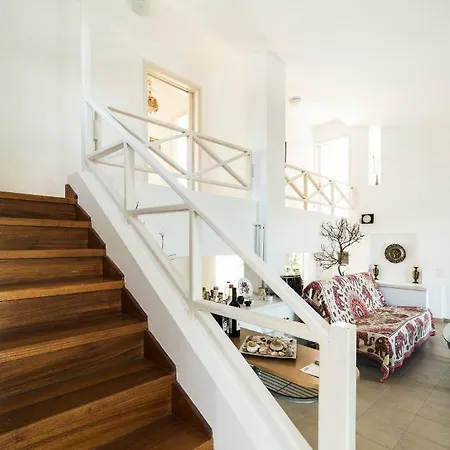 Next To Orange Tree Orchard