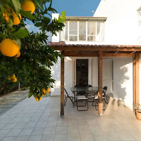 Next To Orange Tree Orchard * Vraháti