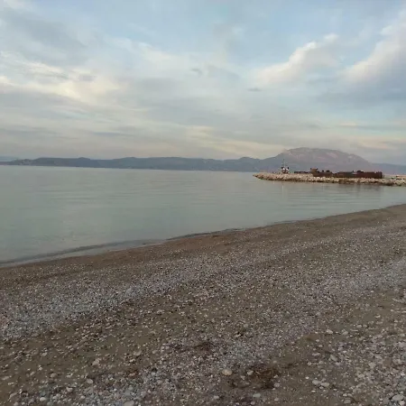 Next To Orange Tree Orchard *