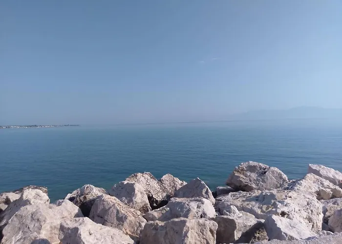 Next To Orange Tree Orchard Vraháti