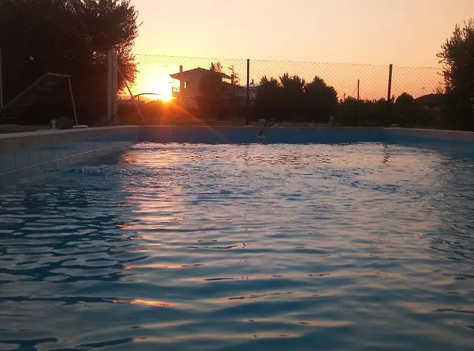 Next To Orange Tree Orchard Vraháti