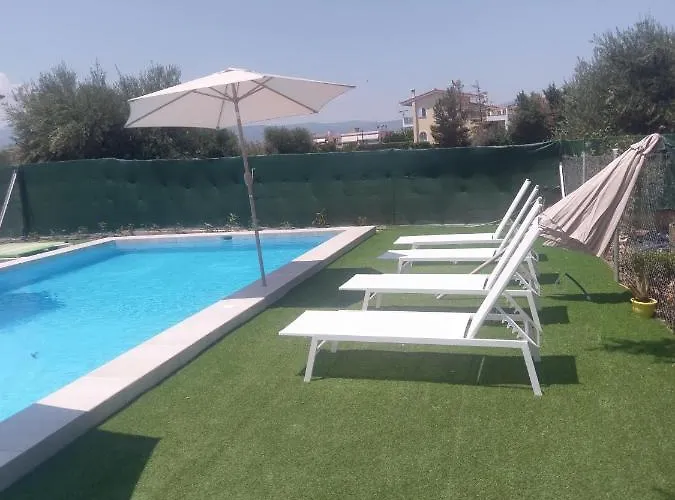 Next To Orange Tree Orchard *