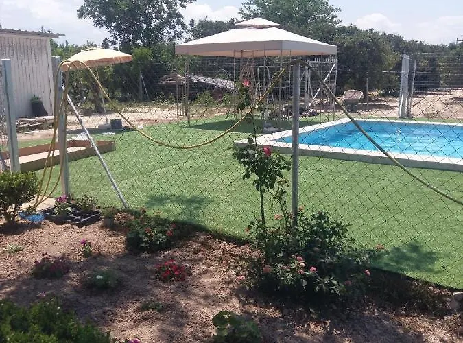 Next To Orange Tree Orchard *