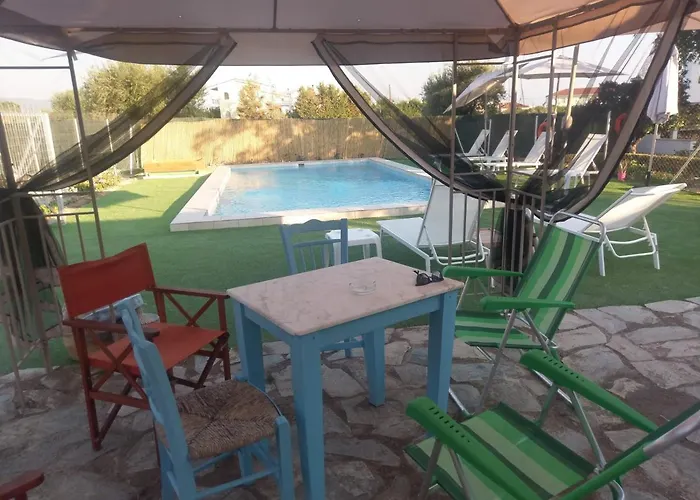 Next To Orange Tree Orchard *