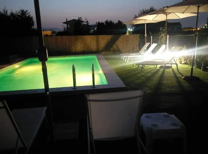 Next To Orange Tree Orchard