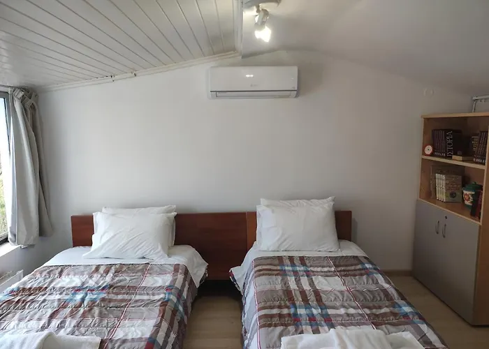 Next To Orange Tree Orchard *