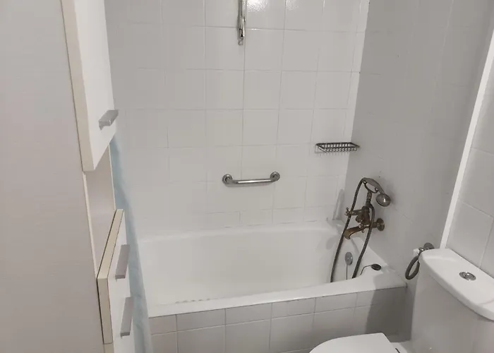 Next To Orange Tree Orchard *