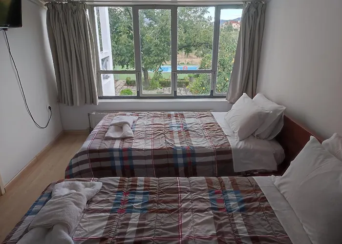 Next To Orange Tree Orchard Nyaraló