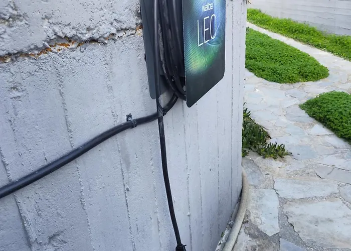 Next To Orange Tree Orchard