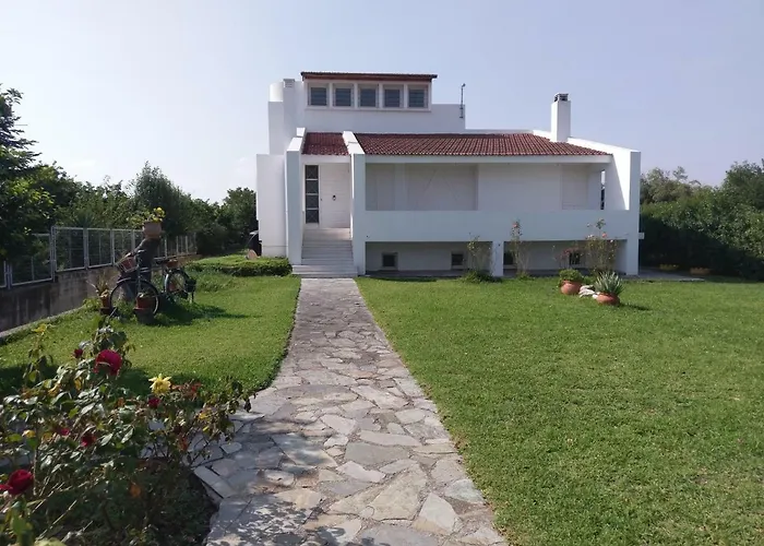 Next To Orange Tree Orchard Nyaraló Vraháti