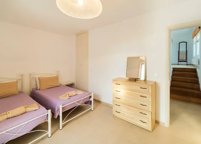 Next To Orange Tree Orchard *