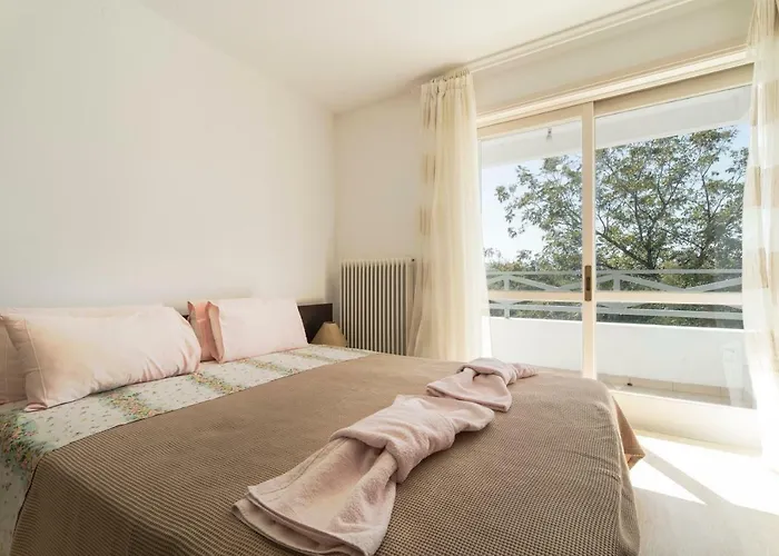 Next To Orange Tree Orchard *