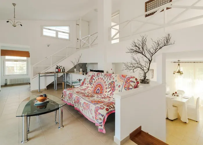 Next To Orange Tree Orchard Vraháti