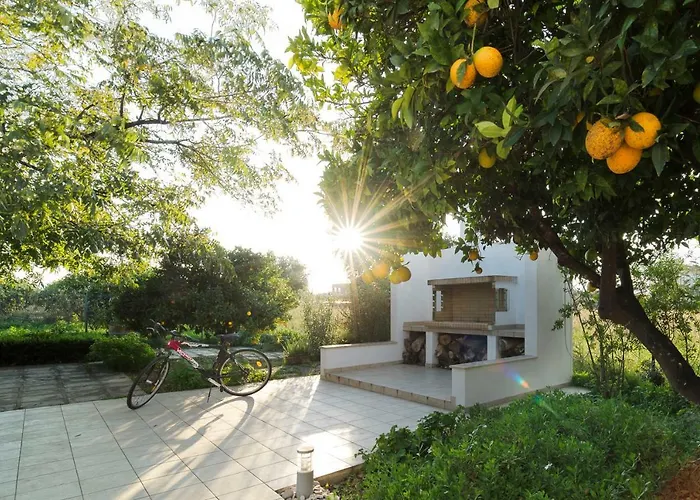 Nyaraló Next To Orange Tree Orchard