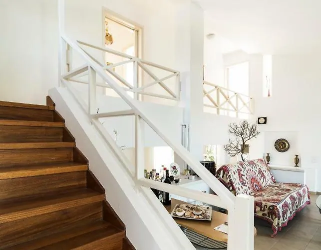 Next To Orange Tree Orchard