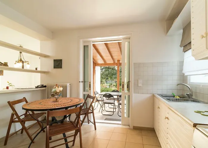 Next To Orange Tree Orchard Vraháti