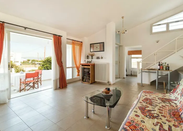 Next To Orange Tree Orchard *