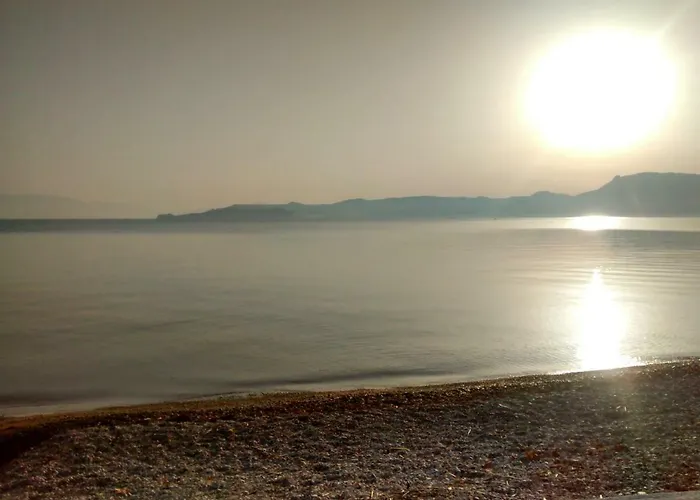 Next To Orange Tree Orchard * Vraháti