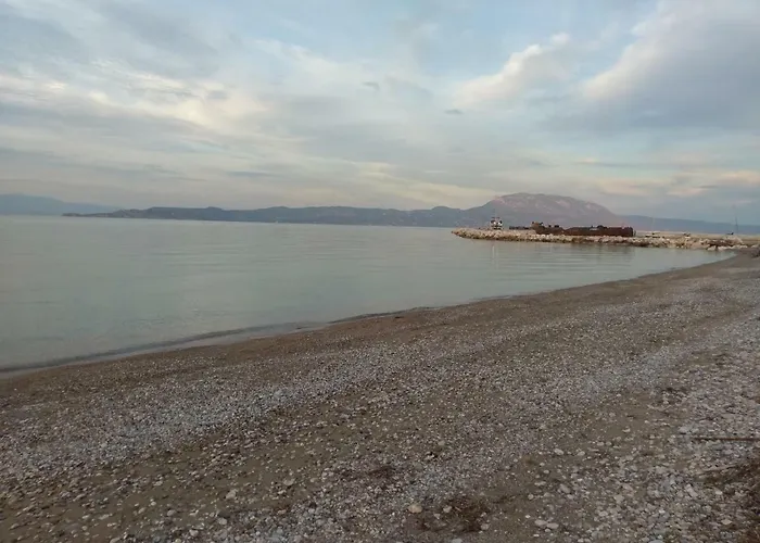 Next To Orange Tree Orchard *