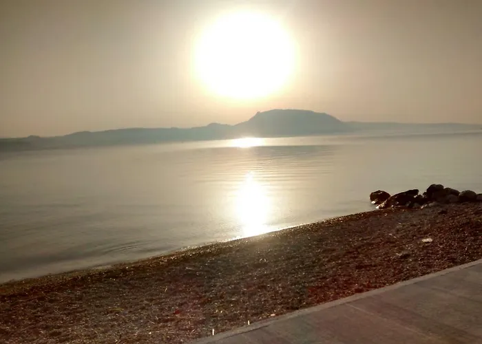 Next To Orange Tree Orchard Vrahati